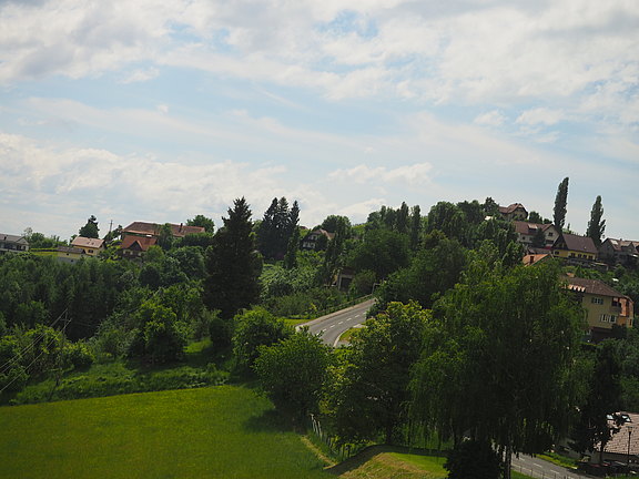 P5170076.JPG  
