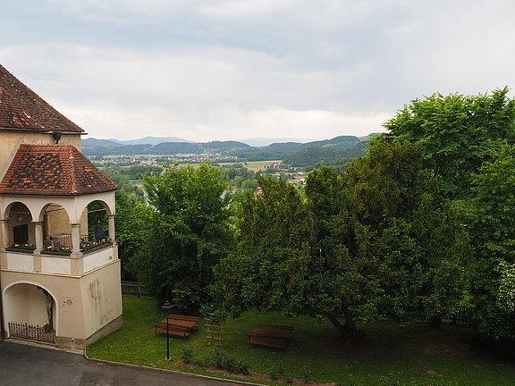 P5160023.JPG  