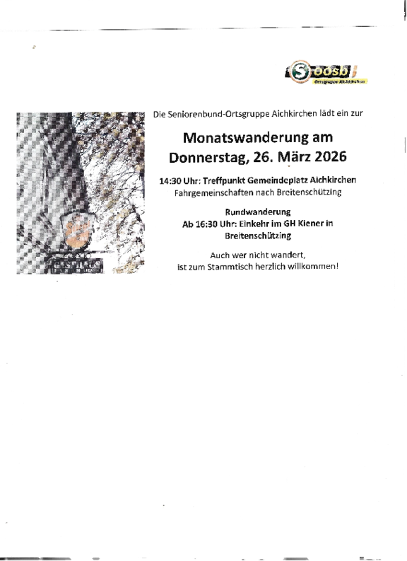 Dokument_2026-03-12_102749.pdf  